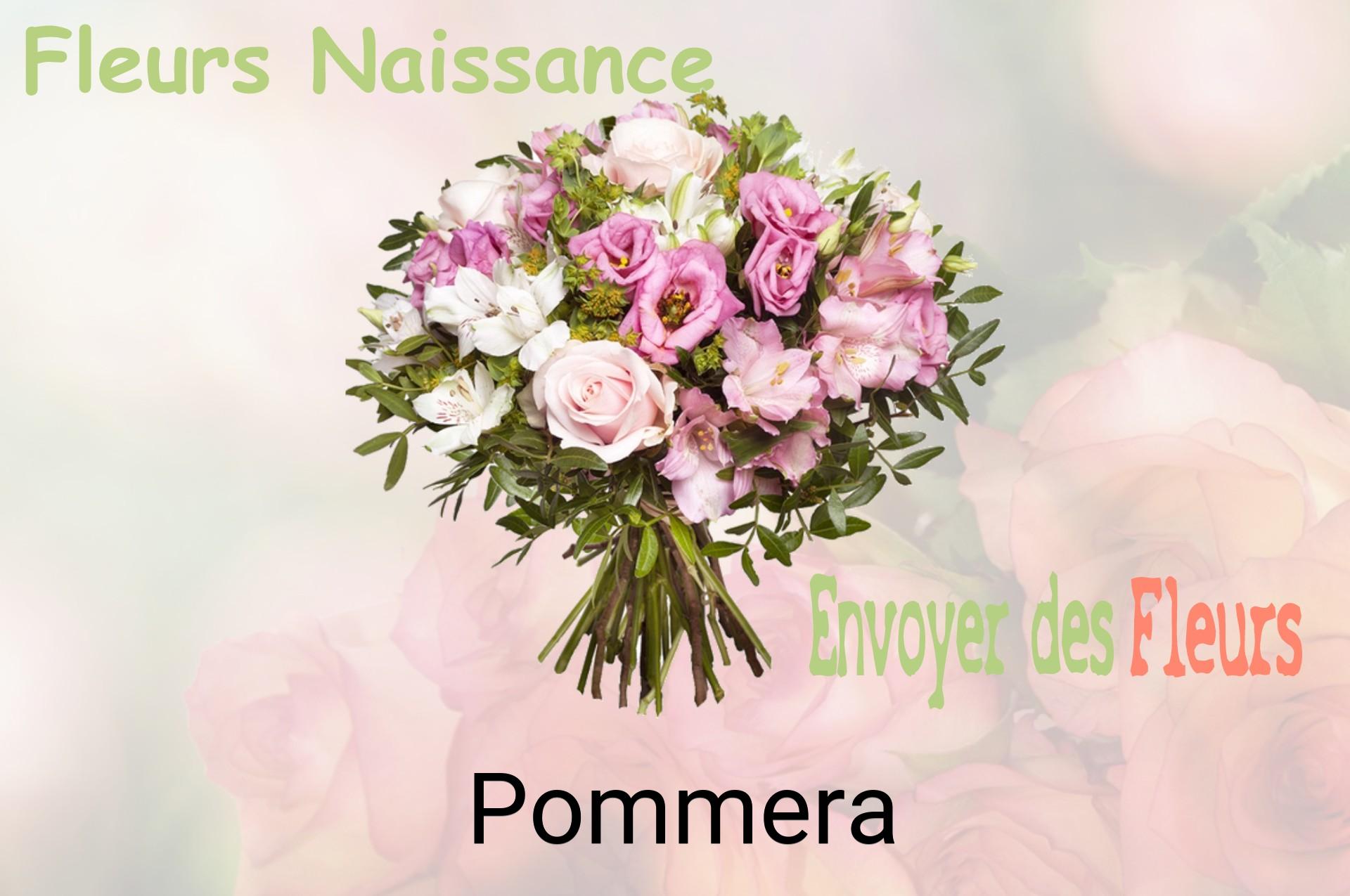 Bouquet de fleurs de naissance livré à Pommera